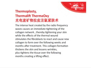 24-ENGLISH-THERMOPLASTY